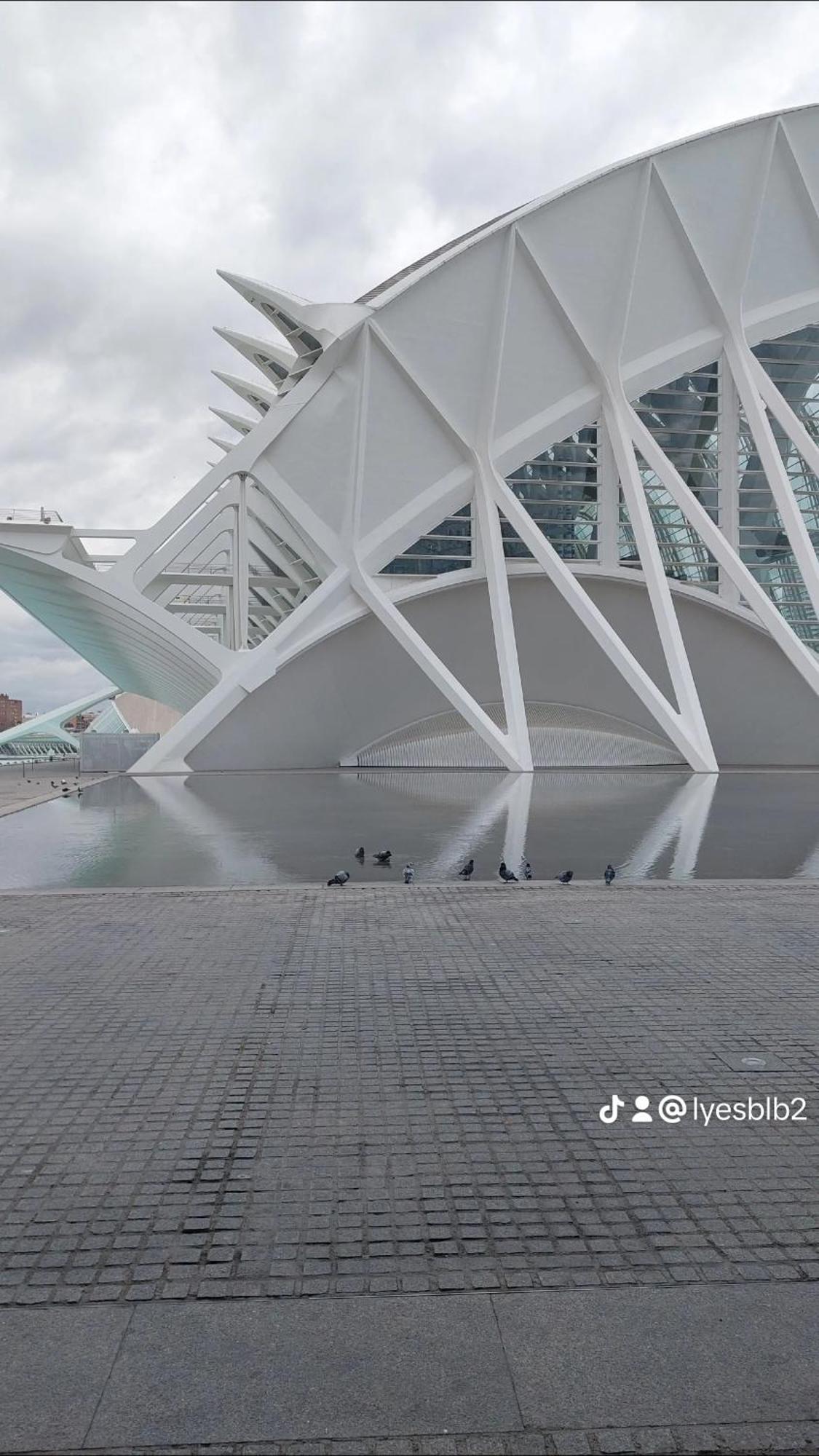 Lyesblb Aparthotel Valencia Buitenkant foto