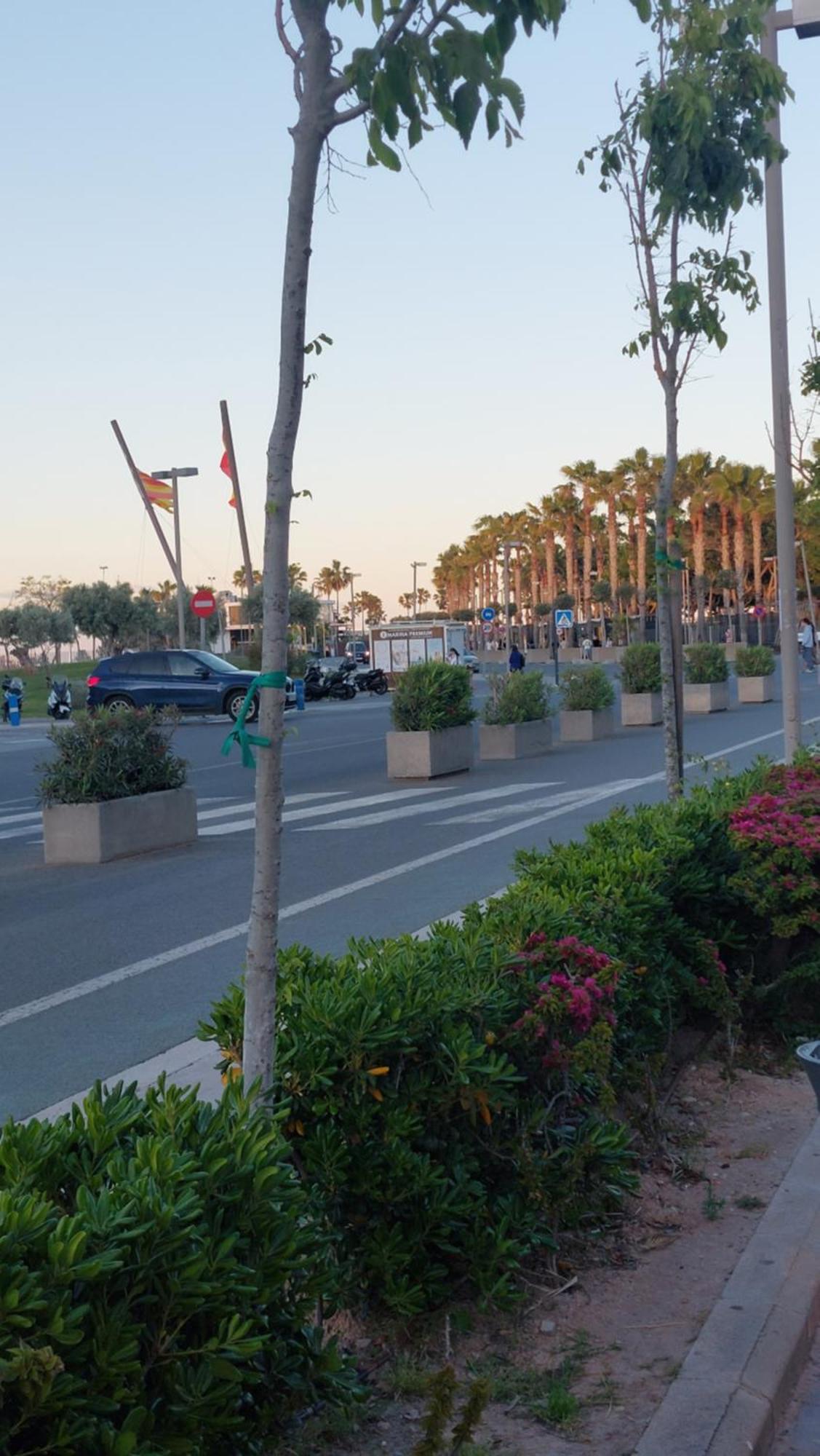 Lyesblb Aparthotel Valencia Buitenkant foto