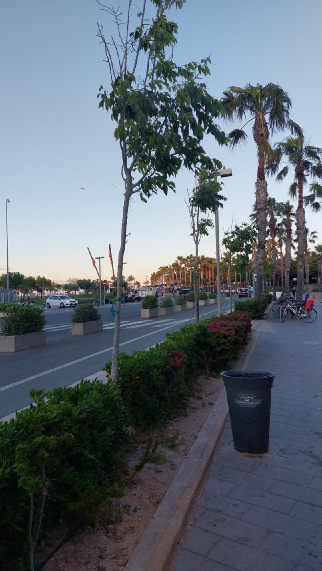 Lyesblb Aparthotel Valencia Buitenkant foto